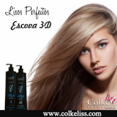 Escova 3D